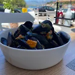 Planita Dalmacija Novigrad (Dalmatia)