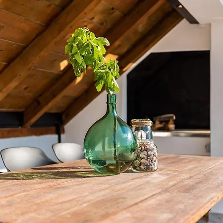 Planita Dalmacija Vila Novigrad (Dalmatia)